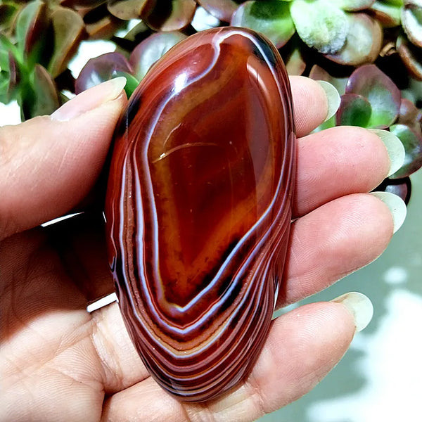 Red Lace Sardonyx Agate-ToShay.org
