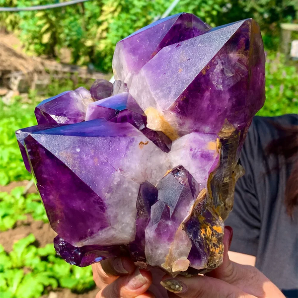 Purple Amethyst Cluster-ToShay.org