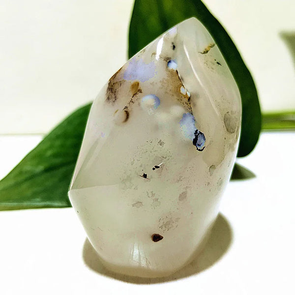 Yellow Moss Agate Flame-ToShay.org