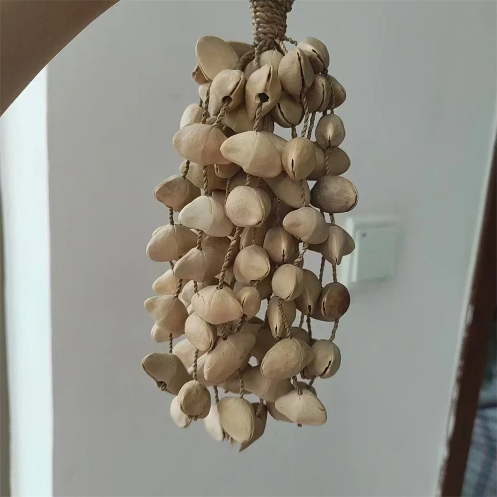 Seed Shell Chimes-ToShay.org