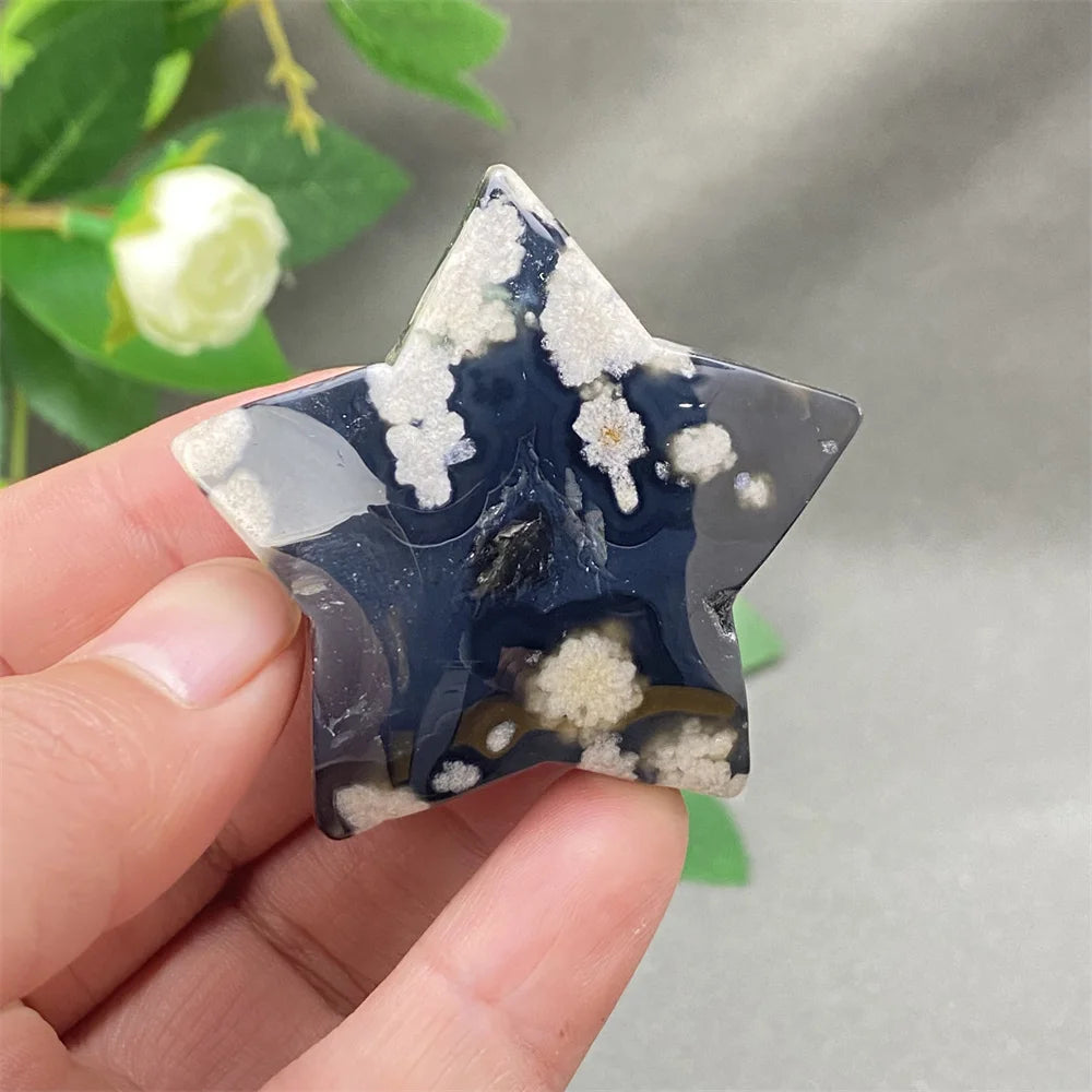 Black Cherry Blossom Agate-ToShay.org
