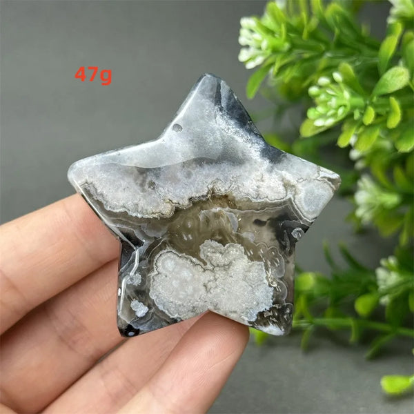 Black Cherry Blossom Agate-ToShay.org