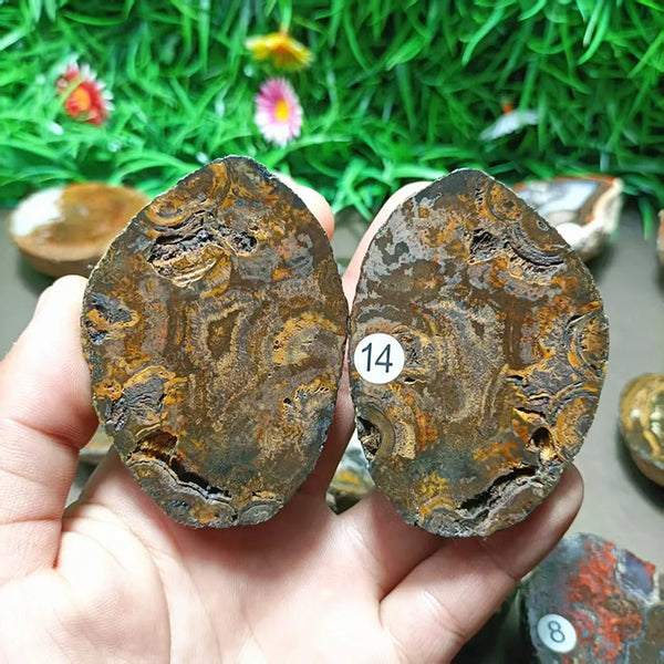 Mixed Agate Quartz Crystal-ToShay.org