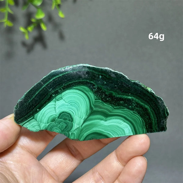 Green Malachite Slice-ToShay.org