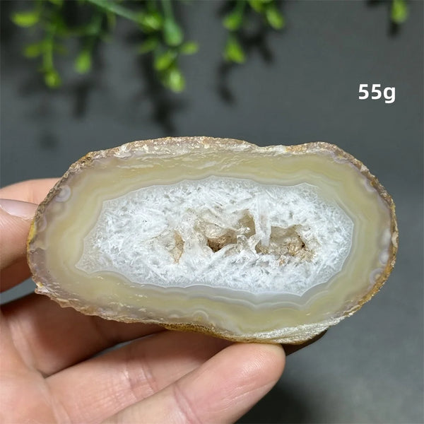 Yellow Agate Slice-ToShay.org