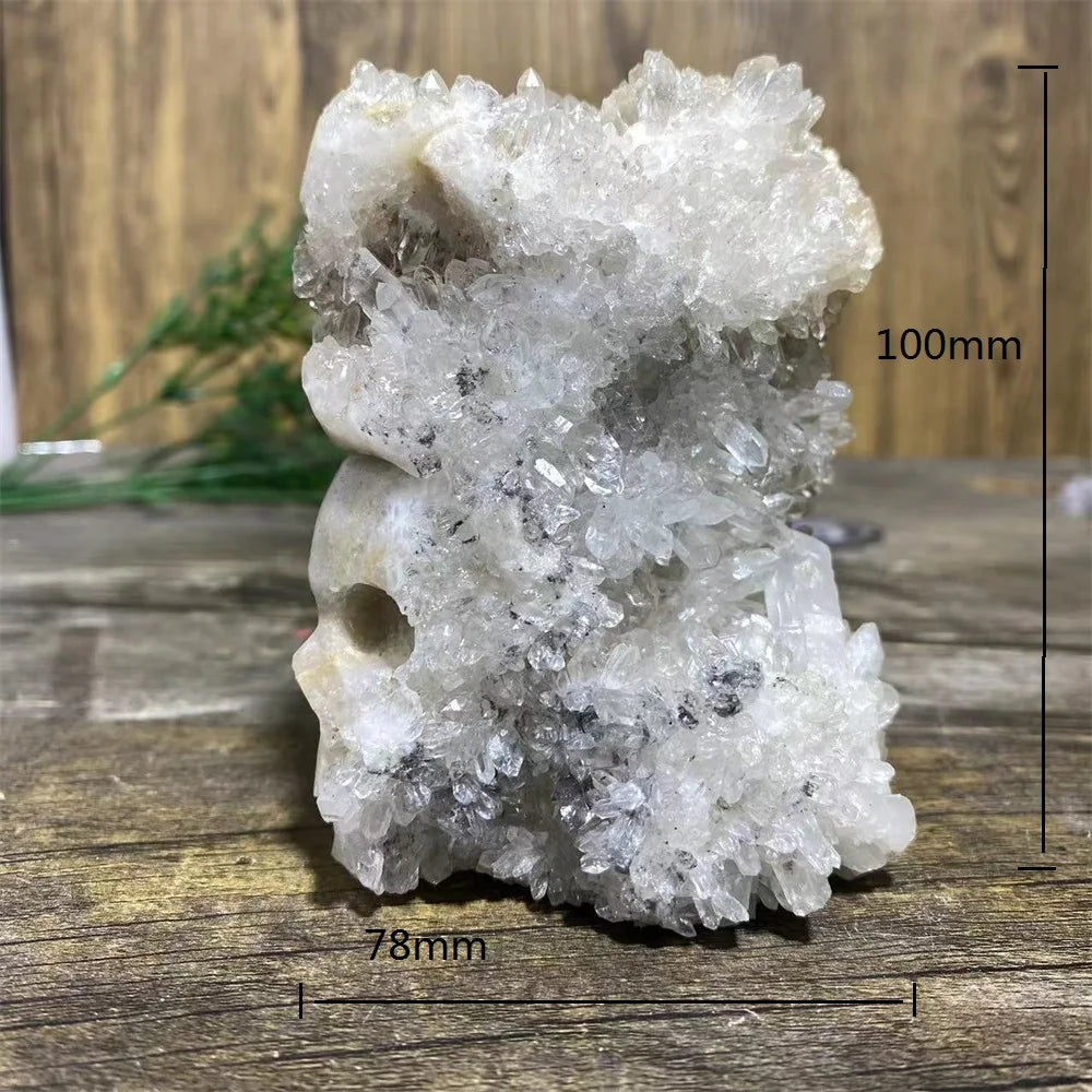 White Chrysanthemum Stone Skull-ToShay.org