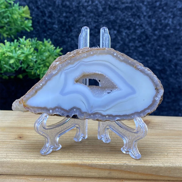 White Agate Geode Slices-ToShay.org