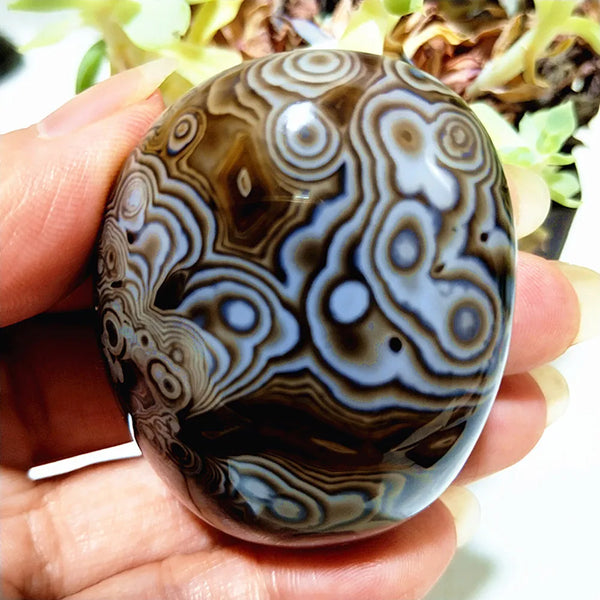 Red Lace Sardonyx Agate-ToShay.org