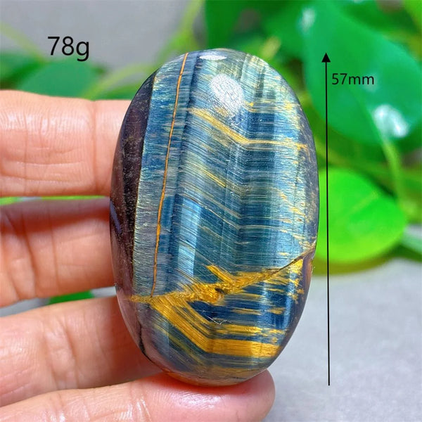 Blue Yellow Tiger Eye-ToShay.org
