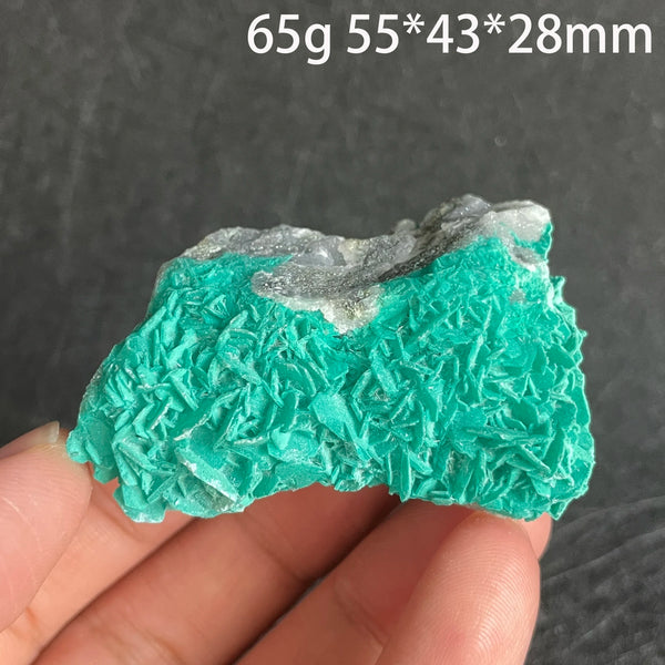 Green Antlerite Mineral Quartz-ToShay.org