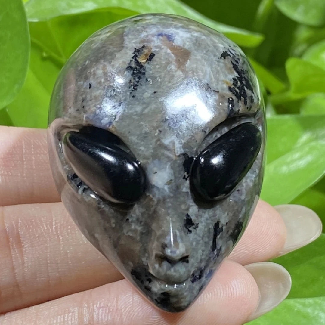 Mixed Crystal Alien Skulls-ToShay.org