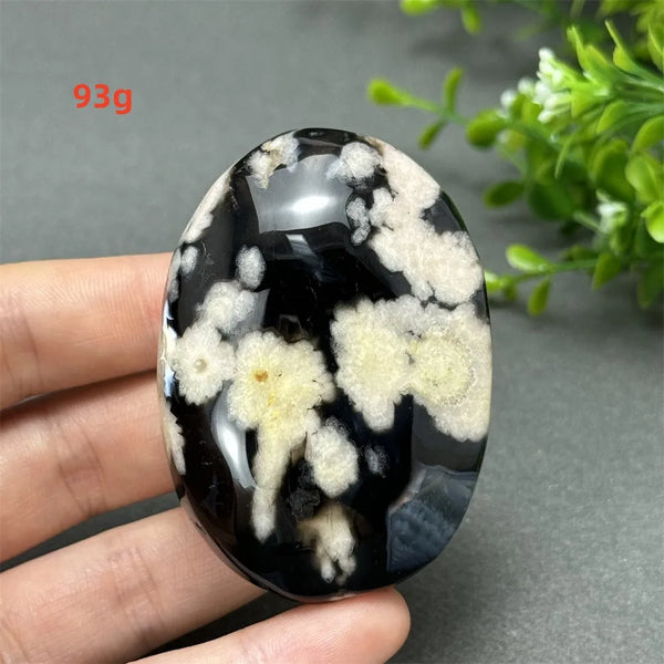 Black Cherry Blossom Agate-ToShay.org