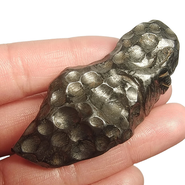 Iron Meteorite Stone-ToShay.org