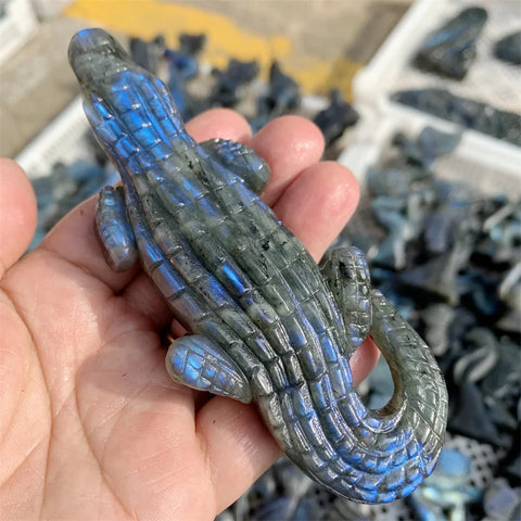 Blue Labradorite Crocodile-ToShay.org