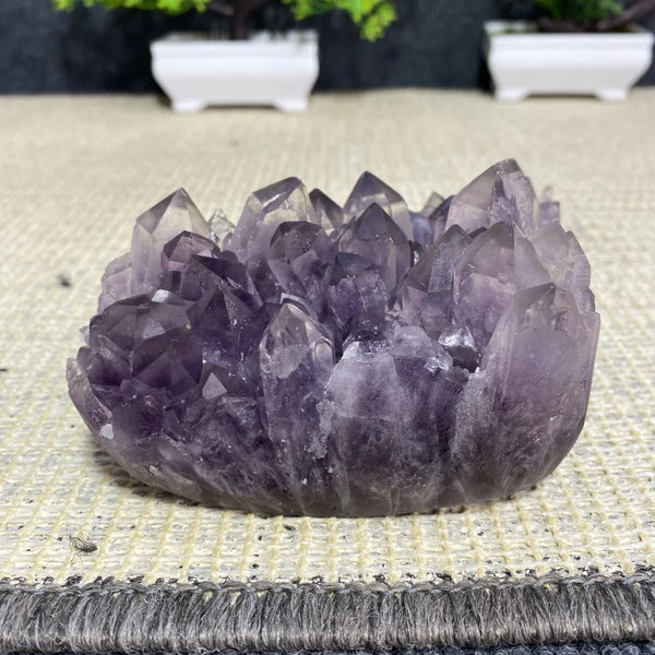 Purple Amethyst Crystal Cluster-ToShay.org