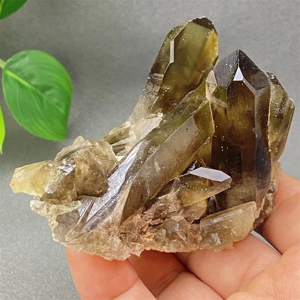 Yellow Black Smoky Quartz-ToShay.org