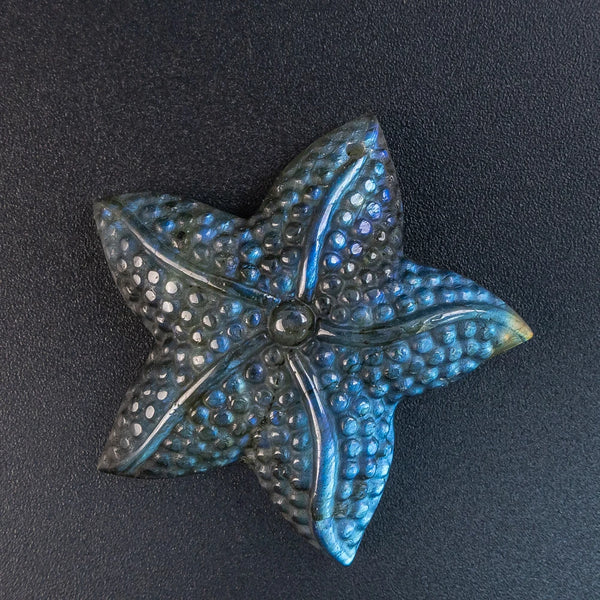 Blue Flash Labradorite Starfish-ToShay.org