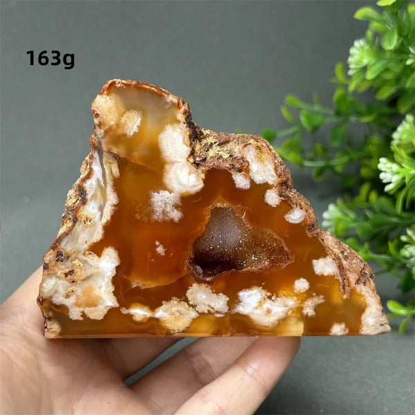 Red Cherry Blossom Agate-ToShay.org