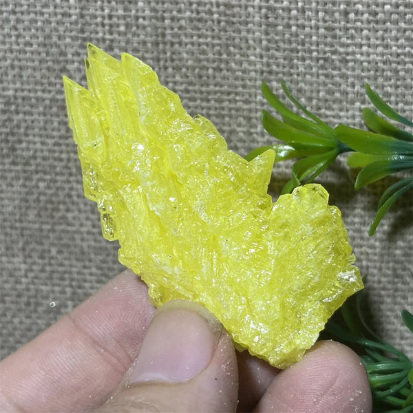 Yellow Sulphur Quartz-ToShay.org