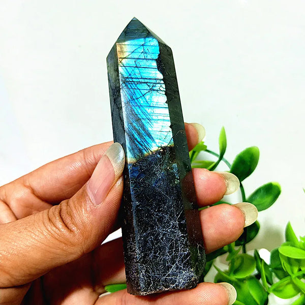 Blue Labradorite Point-ToShay.org