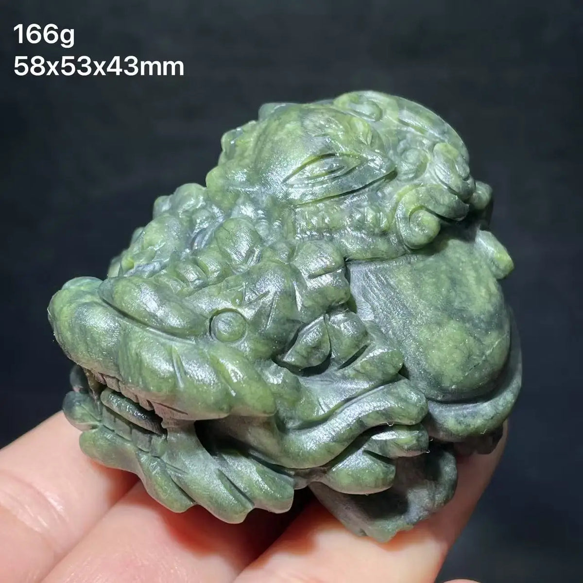 Mixed Crystal Dragon Turtles-ToShay.org