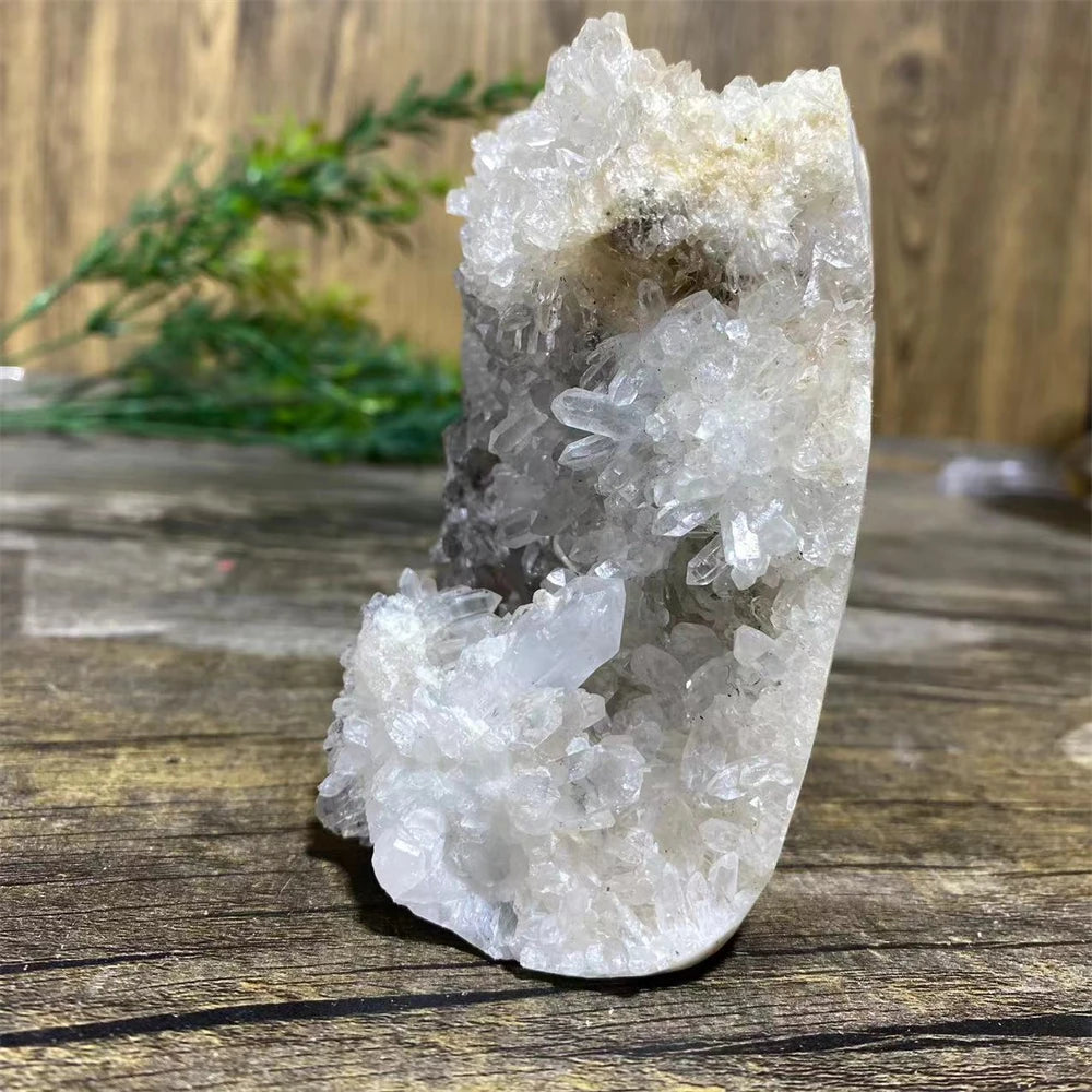 White Chrysanthemum Stone Skull-ToShay.org