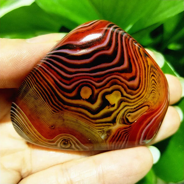 Red Lace Sardonyx Agate-ToShay.org