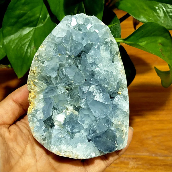 Blue Celestine Geode Crystal-ToShay.org