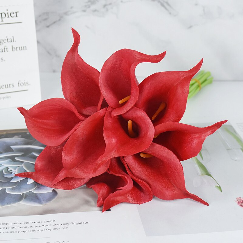 Calla Lily Stem Flower-ToShay.org