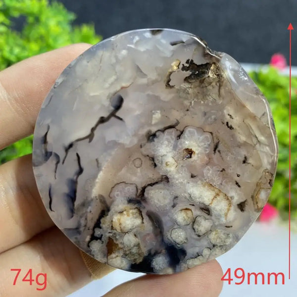 Black Agate Slice-ToShay.org