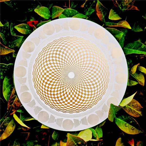 Circuit Board Polarizing Disk-ToShay.org