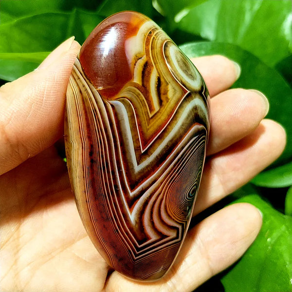 Red Lace Sardonyx Agate-ToShay.org