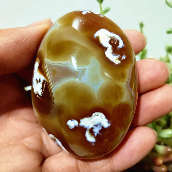 Mixed Lace Sardonyx Agate-ToShay.org