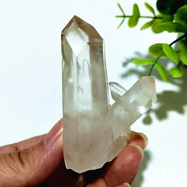 Clear Crystal Cluster-ToShay.org
