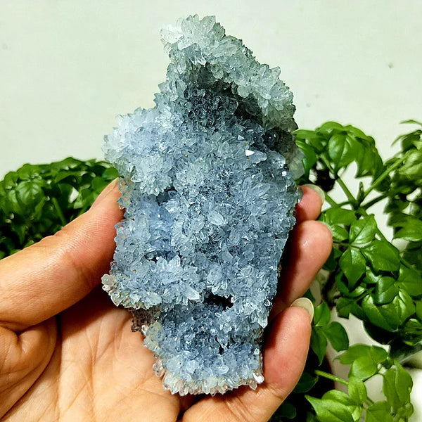 Purple Chrysanthemum Fluorite Crystal-ToShay.org