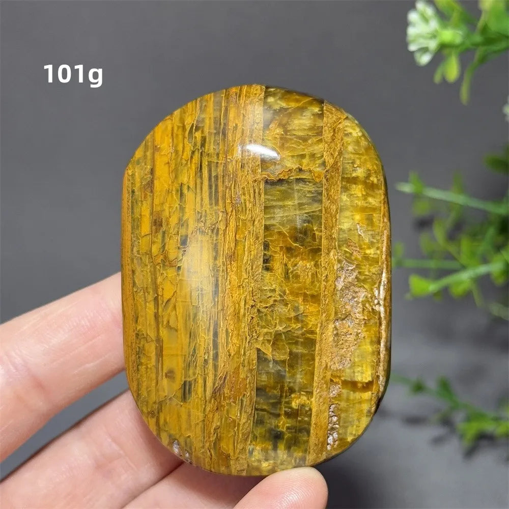 Yellow Peter Stone-ToShay.org