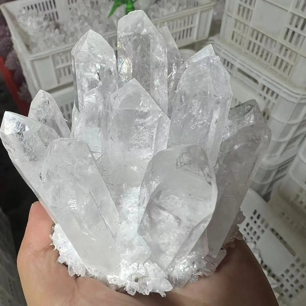 White Quartz Crystal Cluster-ToShay.org