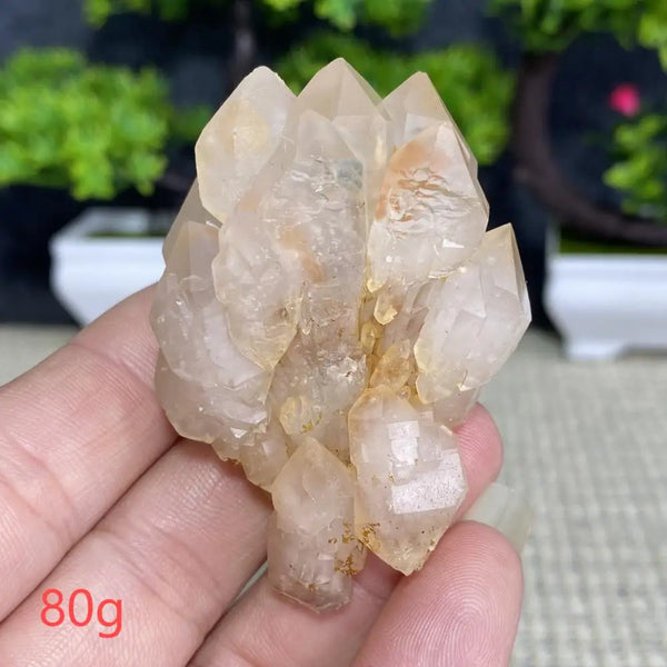 White Quartz Crystal Cluster-ToShay.org