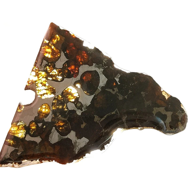 Olive Meteorite Slice-ToShay.org