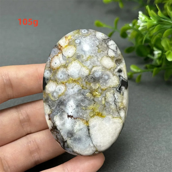 Black Cherry Blossom Agate-ToShay.org