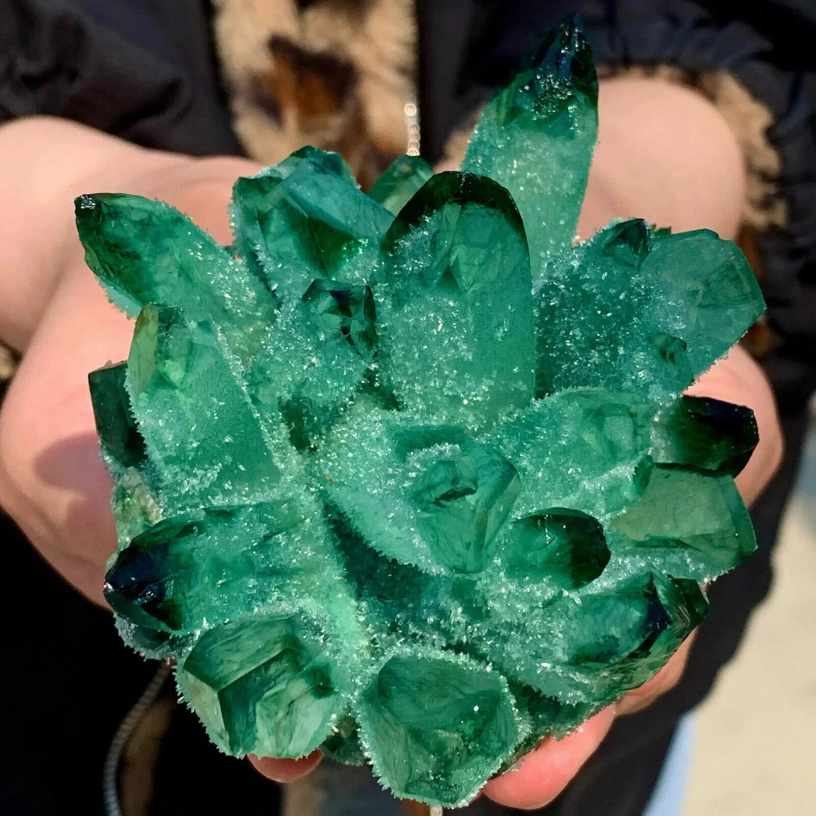 Green Phantom Quartz Crystal Cluster-ToShay.org