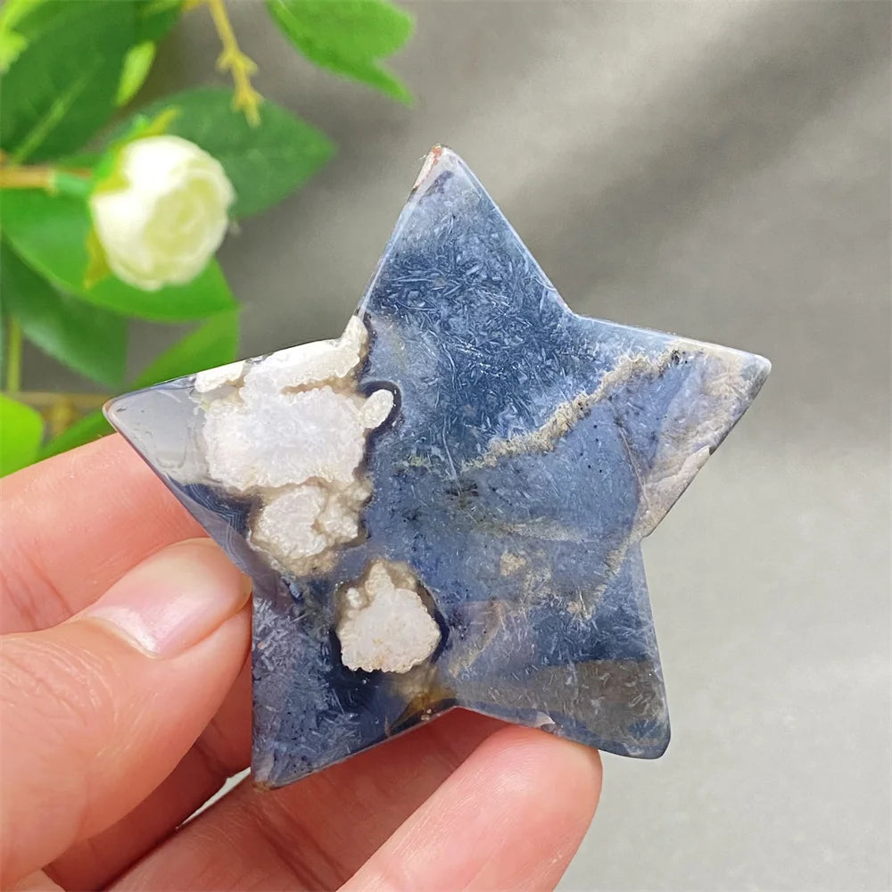 Black Cherry Blossom Agate-ToShay.org