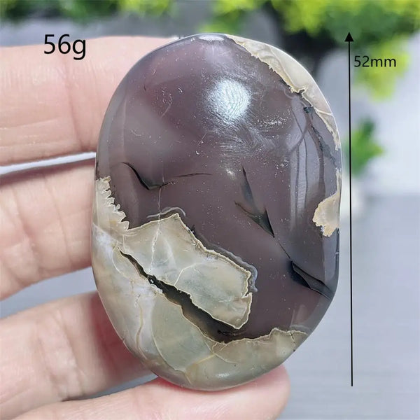 Fire Agate Palm Stone-ToShay.org