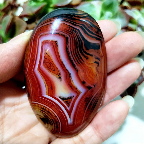 Red Lace Sardonyx Agate-ToShay.org
