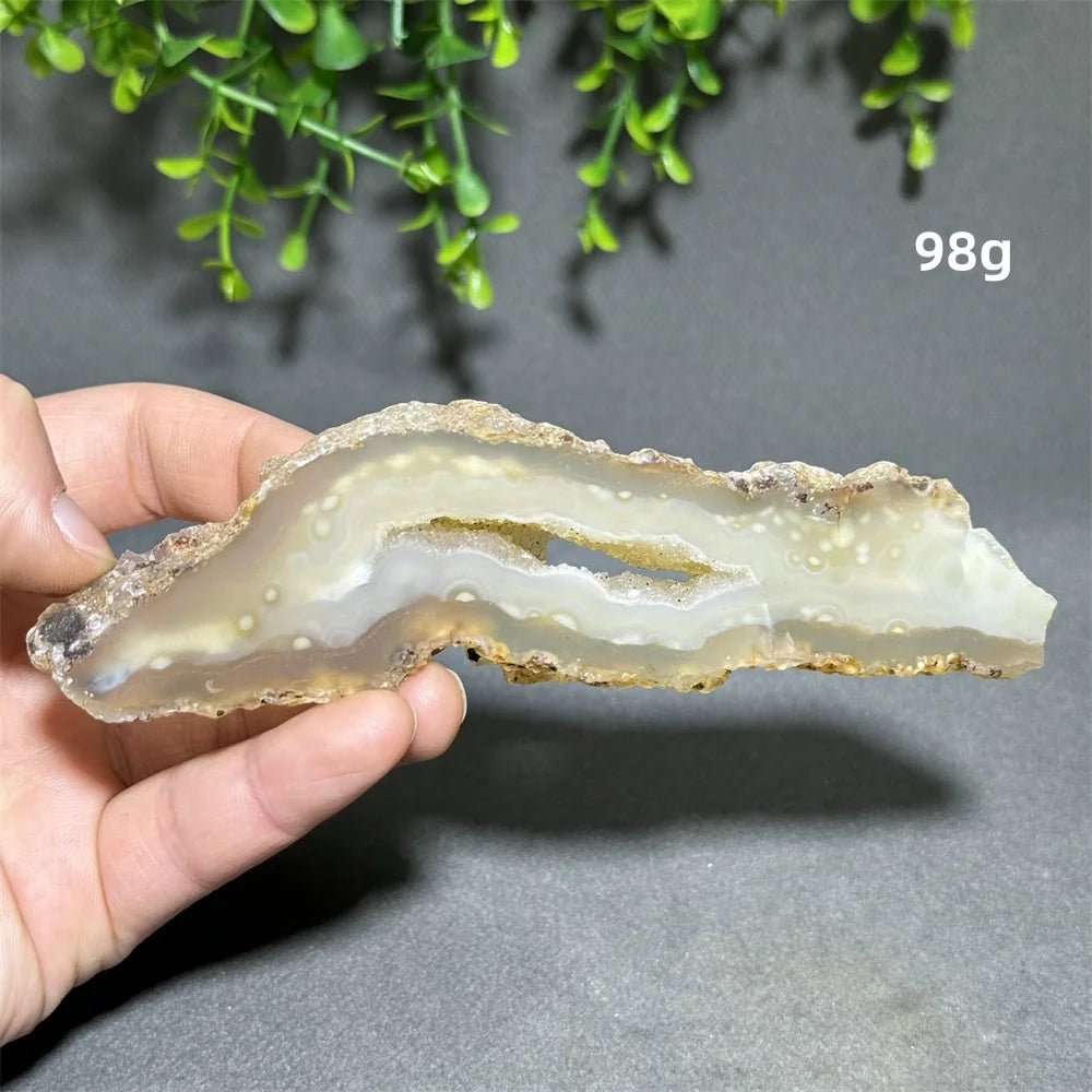 Yellow Agate Slice-ToShay.org