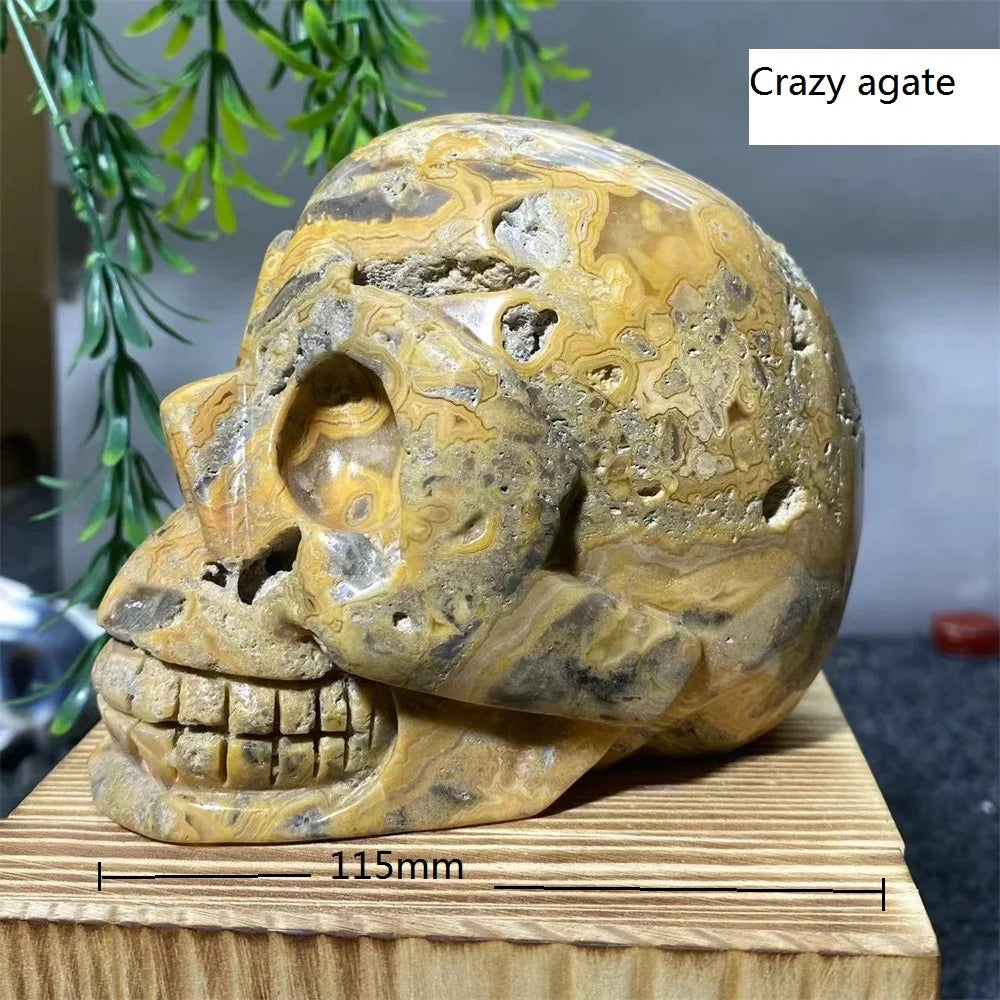 Mixed Crystal Skulls-ToShay.org