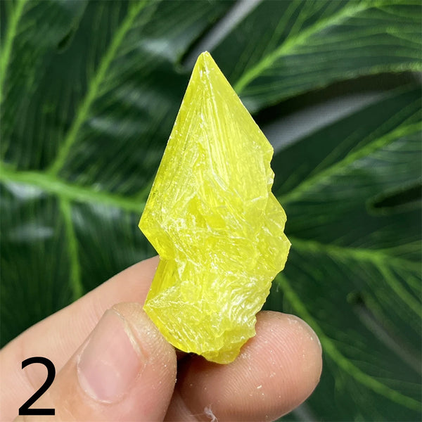 Yellow Sulfur Clusters-ToShay.org