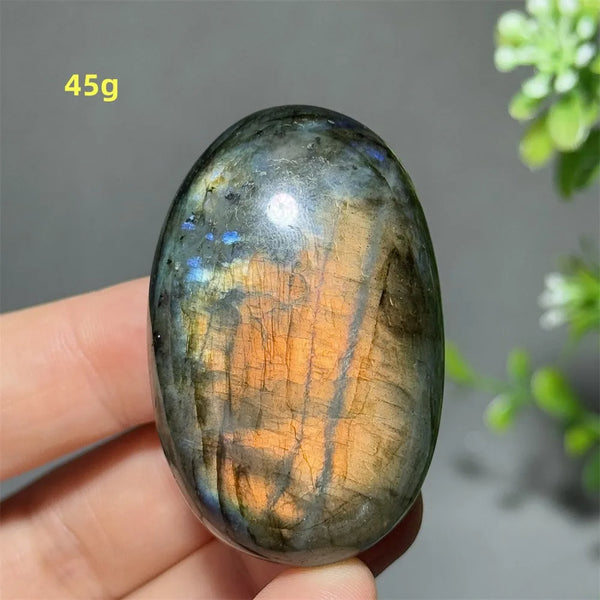 Blue Labrador Palm Stone-ToShay.org