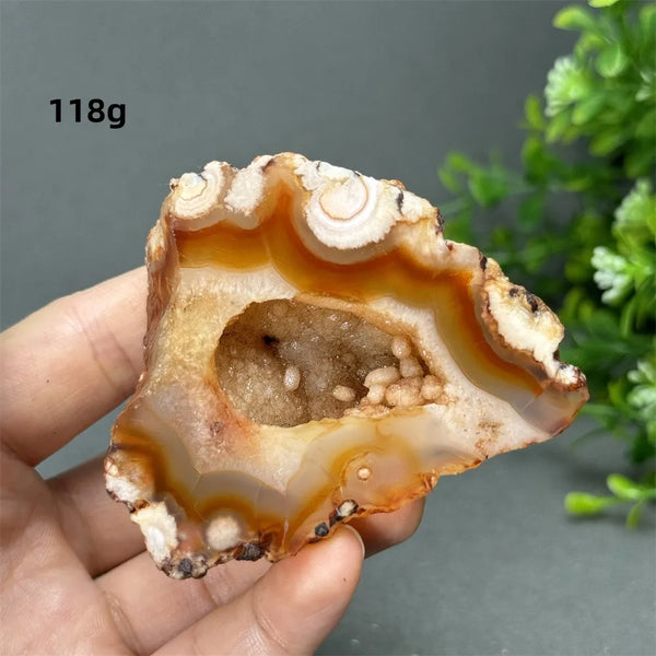 Red Cherry Blossom Agate-ToShay.org