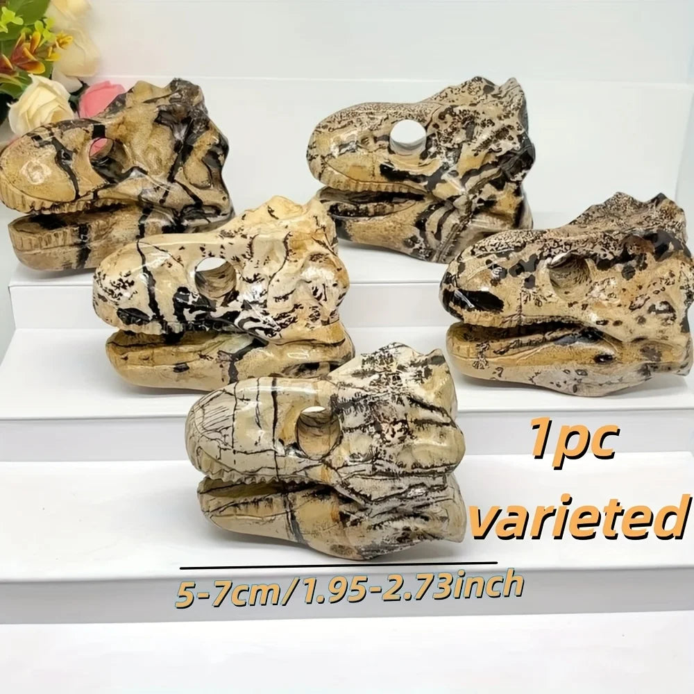 Yellow Picture Stone Dinosaur Skull-ToShay.org